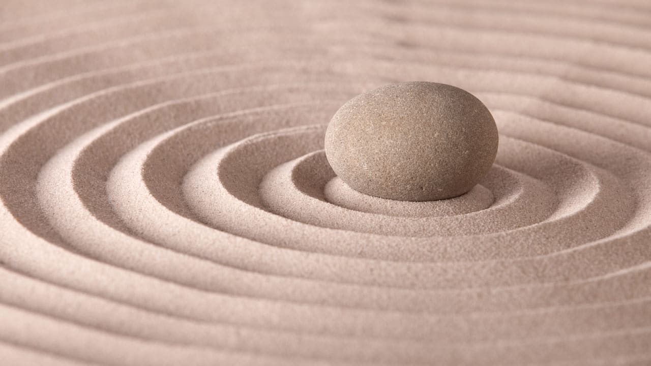 The Zaky ZEN® – The Zaky - Official Website and Store