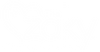 The Zaky - Official Website and Store